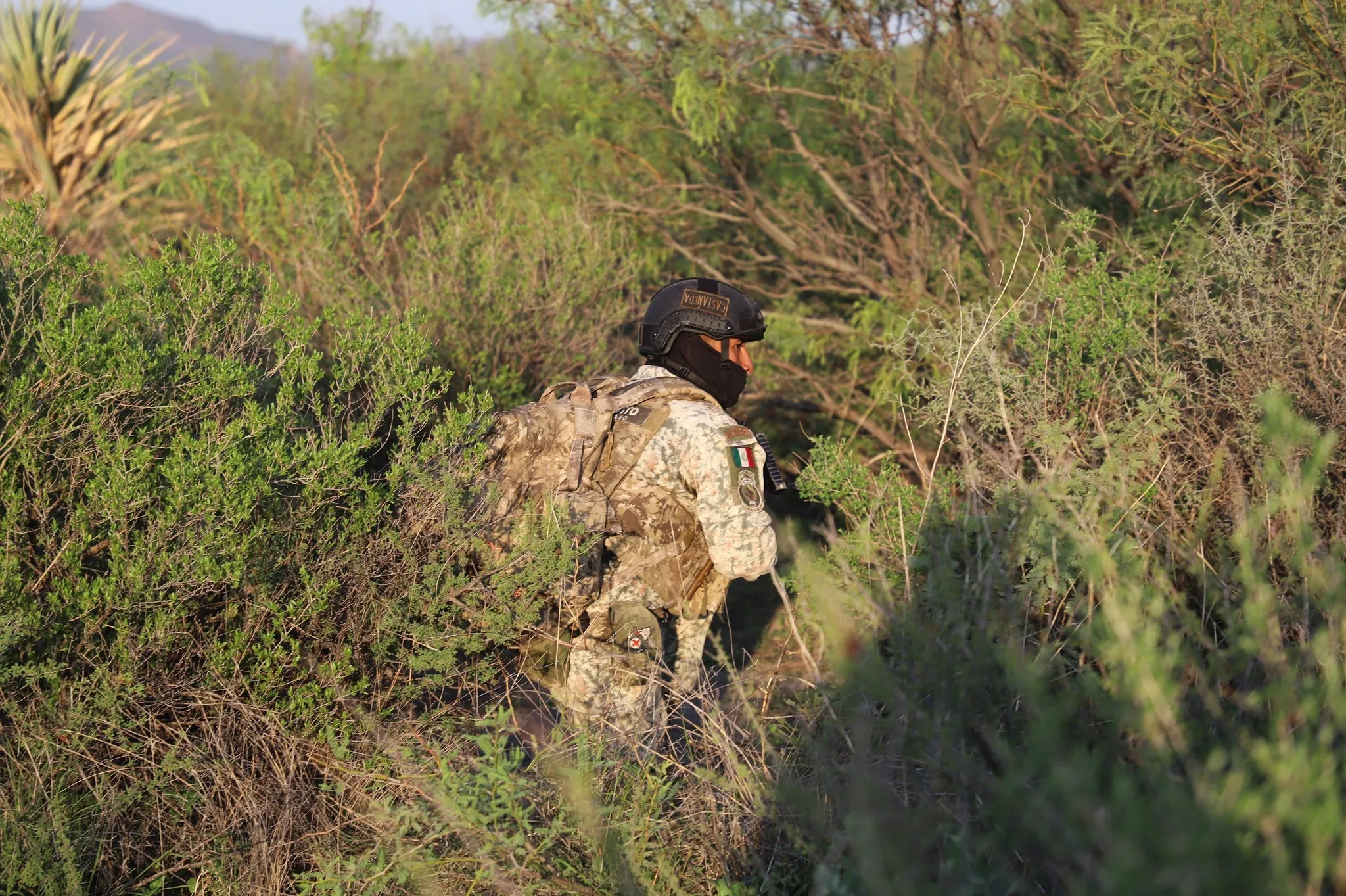 U.s. Northern Command And Mexico’s Secretaría De La Defensa Nacional Collaborate In July Joint Exercise: Strengthening Security And Bilateral Cooperation