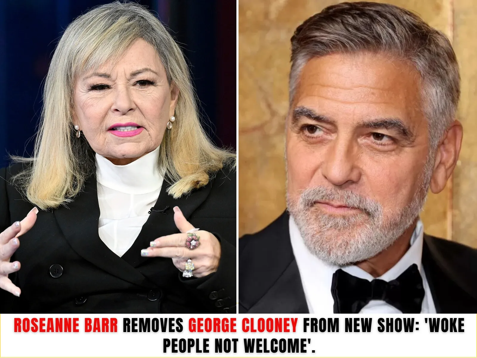 Breaking News: Roseanne Barr Removes George Clooney From New Show: ‘Woke People Not Welcome’