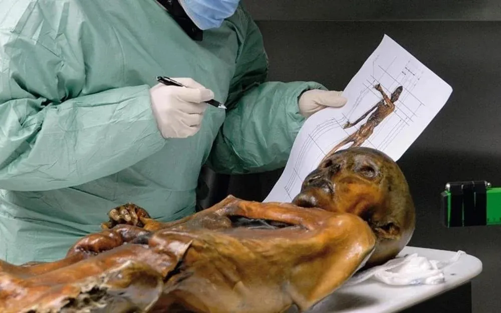 Study Suggests Ötzi’S Tattoos Were Made Using A Single-Pointed Tool