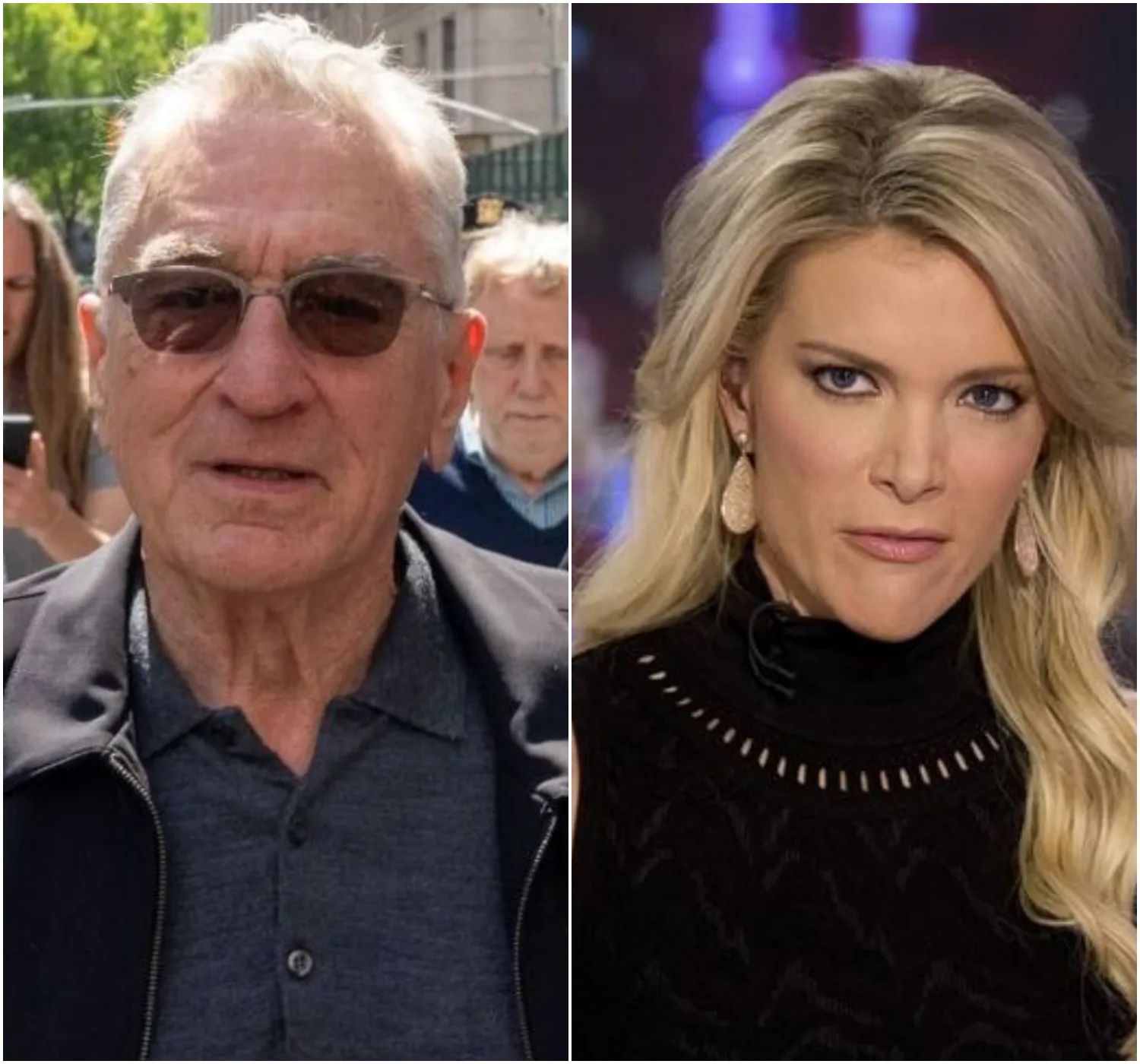 News: Megyn Kelly Called Robert De Niro 'Extremely Stupid' In Criticism Of The Actor