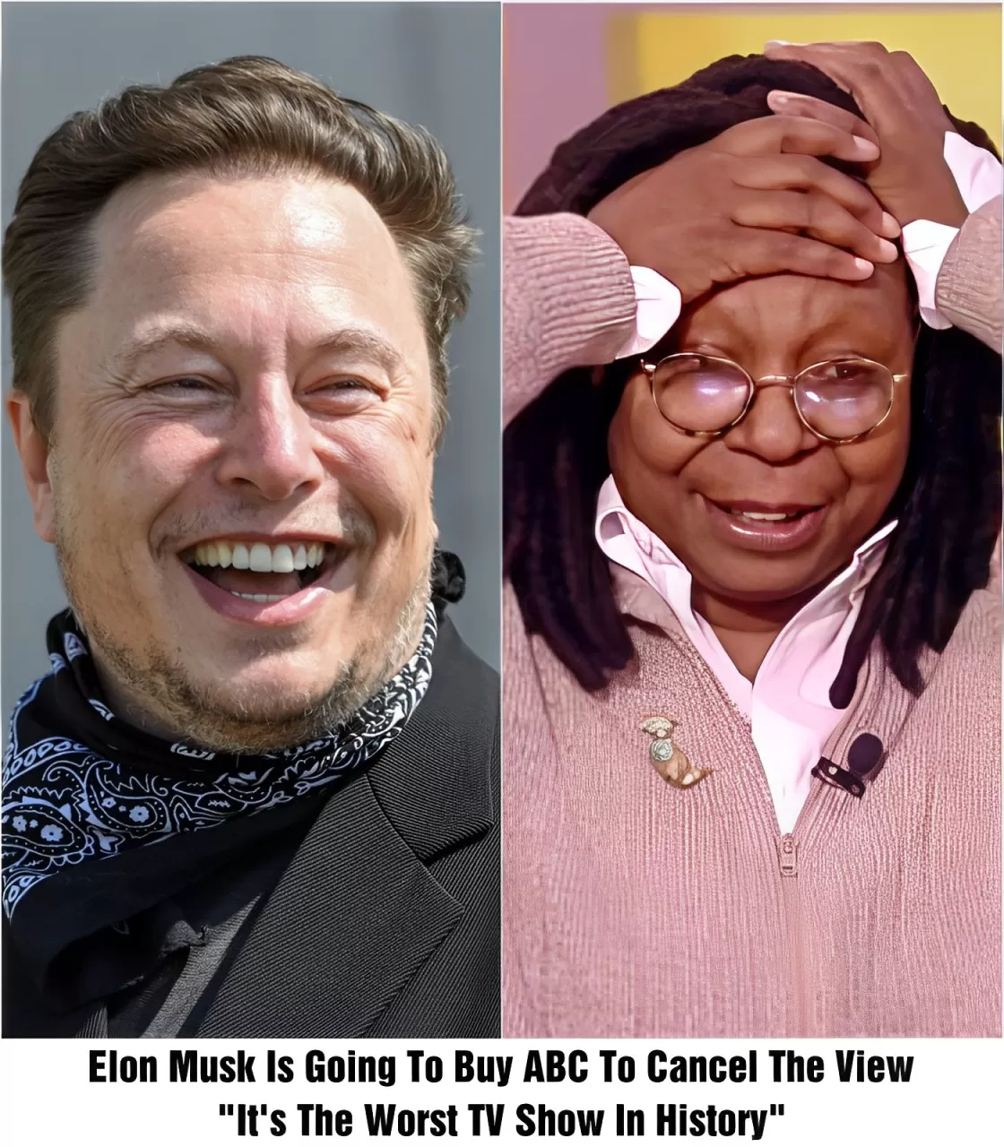 Elon Musk Is Going To Buy The View Tv Show