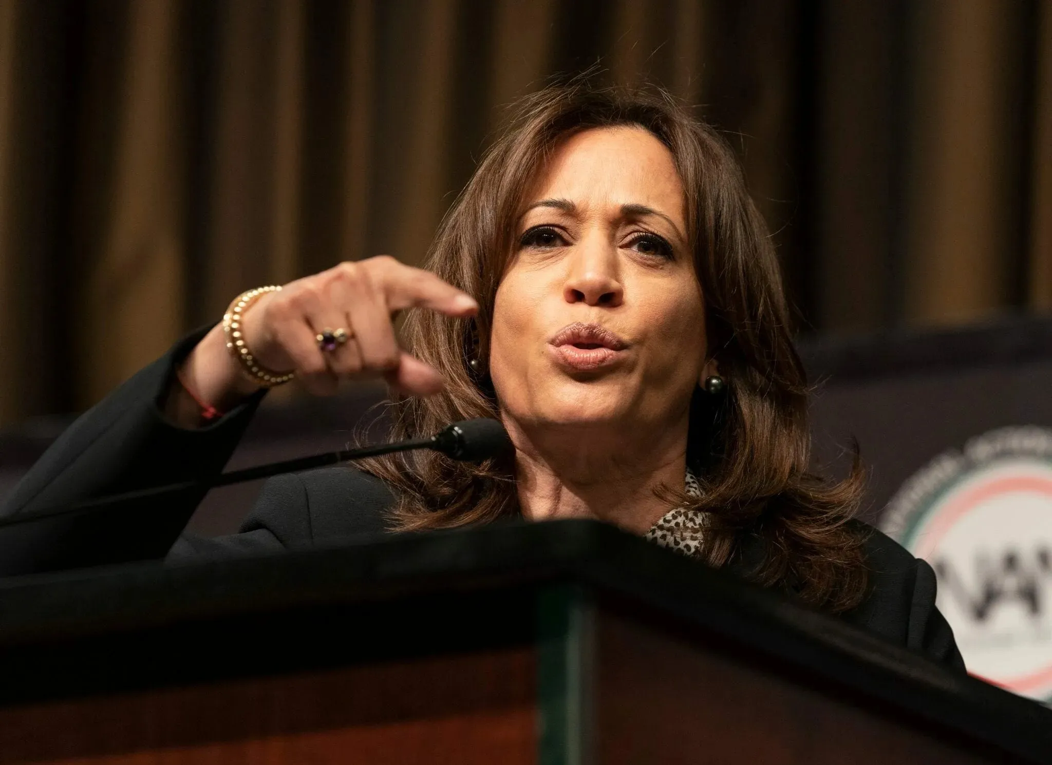 Breaking: Kamala Harris Snaps And Shouts At Liz Cheney As Voters Flee Rally Early After Being Labeled “Radical”