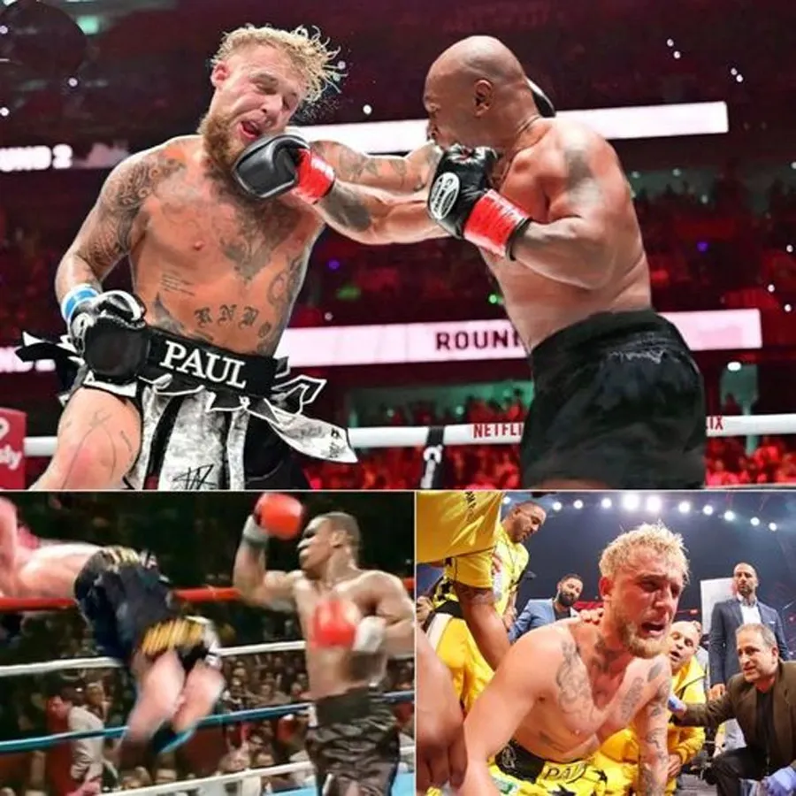 Jake Paul Aurait Été “Mis Ko” Par Mike Tyson En Seulement 2 Coups En 3 Minutes ! Selon Des Informations Divulguées…