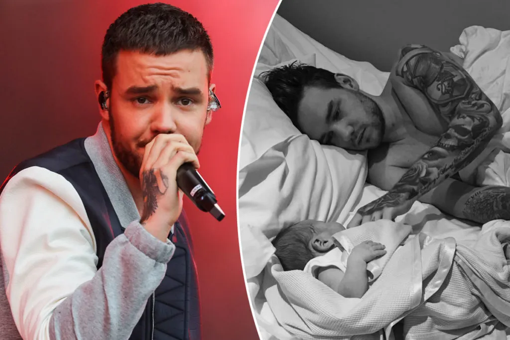 Liam Payne’S Huge Fortune Left To His Only Son Is Up To 30 Million Euros. The Boy Will Be Raised By A Member Of The One Direction Group Until He Is 18 Years Old.