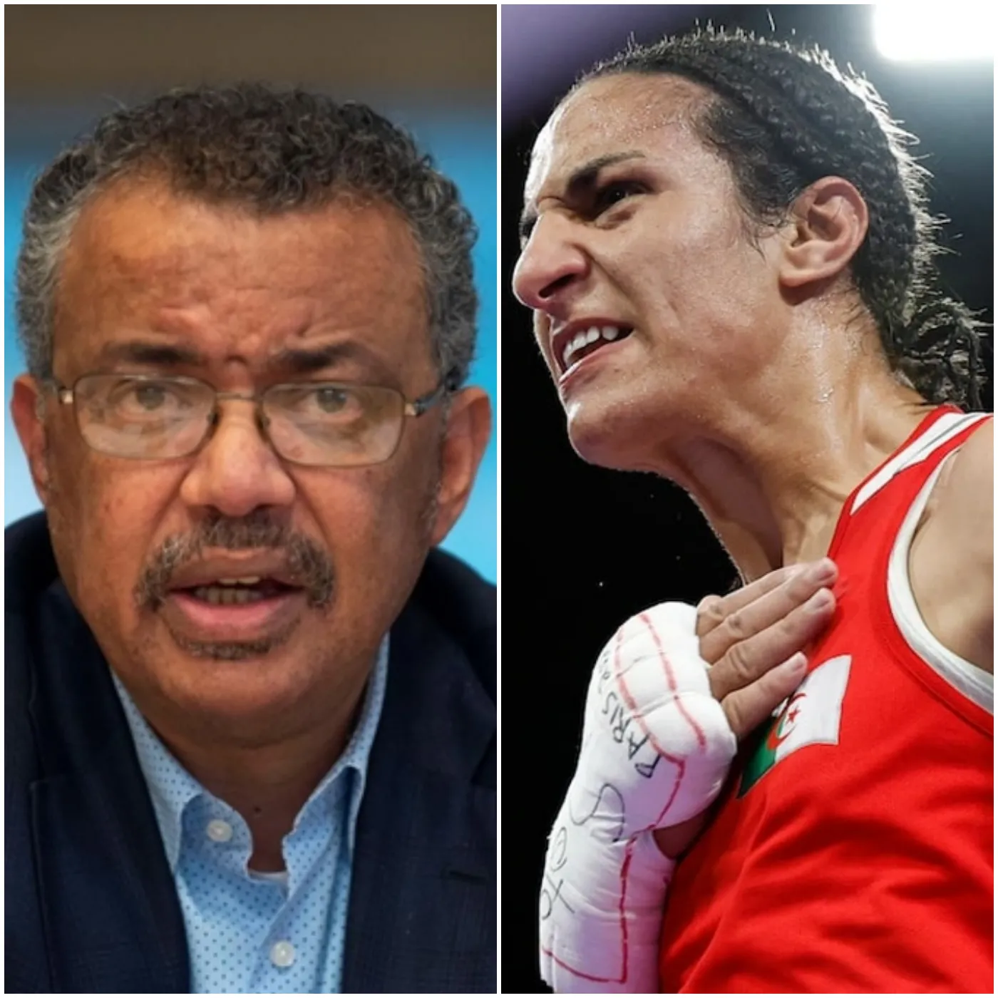 "BETRAYED!" The WBO Strips Imane Khelif of Her Olympic Gold Medal and $25 Million Prize Following a Gender Testing Scandal