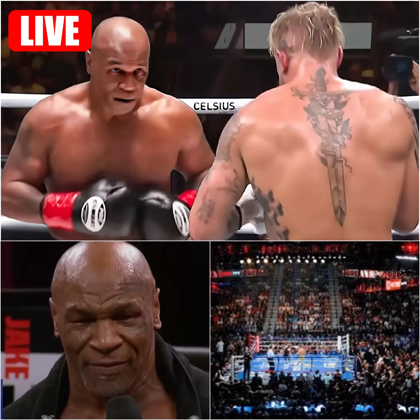 🔴Live: Mike Tyson Vs Jake Paul Live Stream | Paul Vs Tyson Full Fight 2024 Live