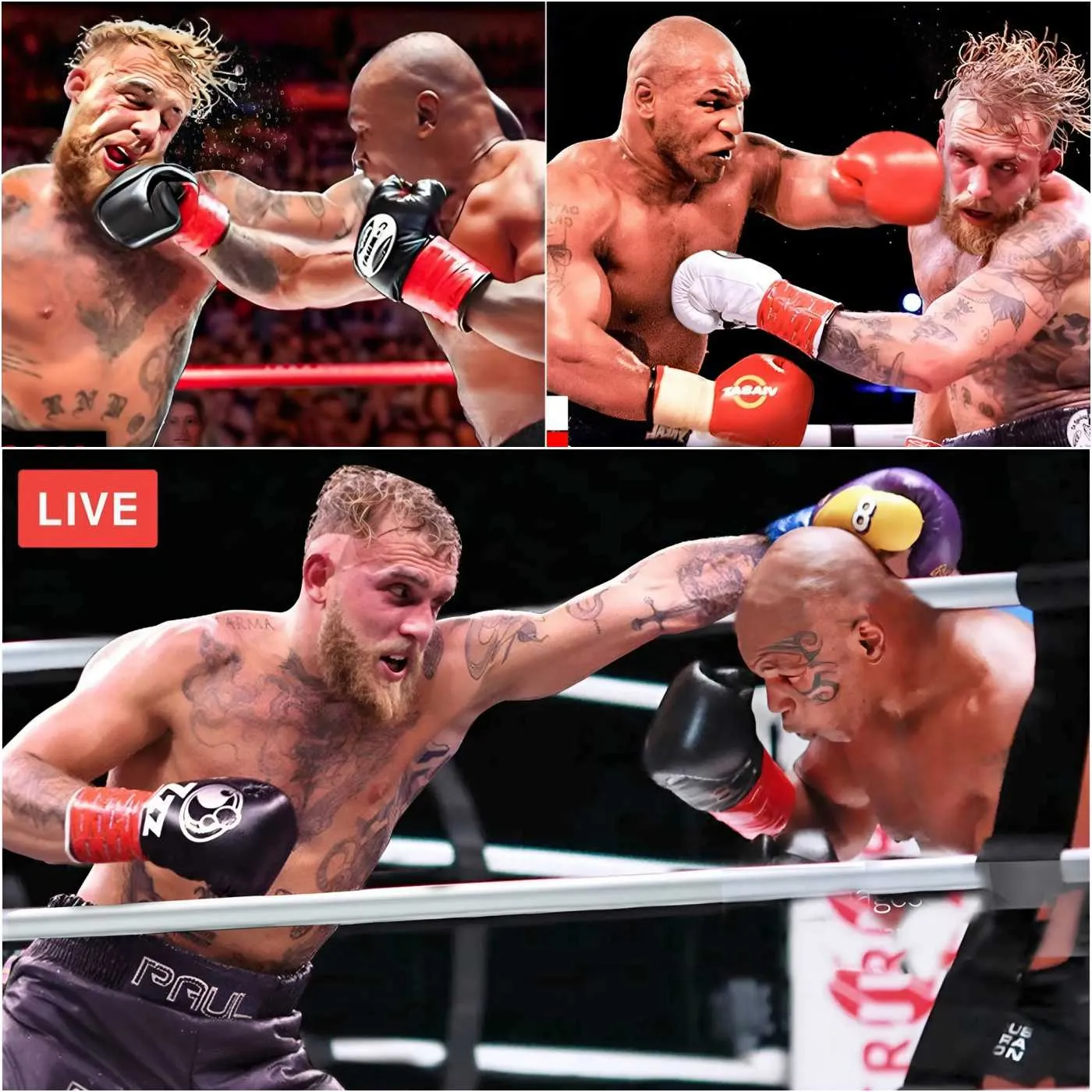 Boxing King Mike Tyson Destroys Jake Paul In An Explosive 50-Second Knockout, Forcing Paul To Seek Help From His Team To Get Out Of The Ring