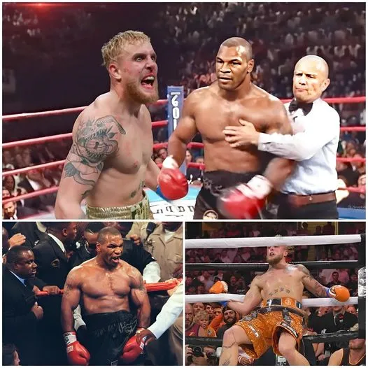 Mike Tyson Looked 'Scary' Before Jake Paul Match And Knocked Out Jake Paul When He Criticized Him For Being Too Old In The Ring