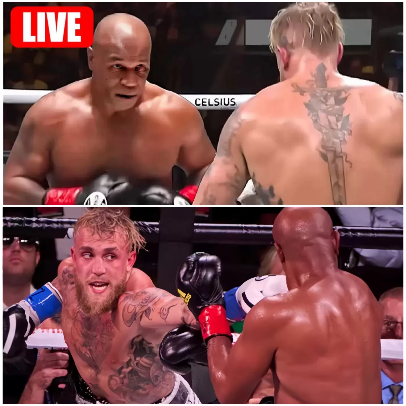 🔴 Livestream Free: Mike Tyson Vs Jake Paul Live Stream | Paul Vs Tyson Full Fight 2024 – Who Will Win ???