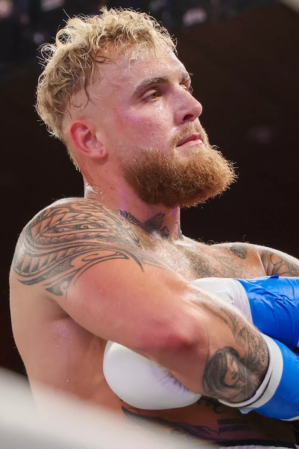 Jake Paul reacts after knocking out Andre August in the first round during the Jake Paul v Andre August at the Caribe Royale Orlando on December 15 2023 in Orlando, Florida.