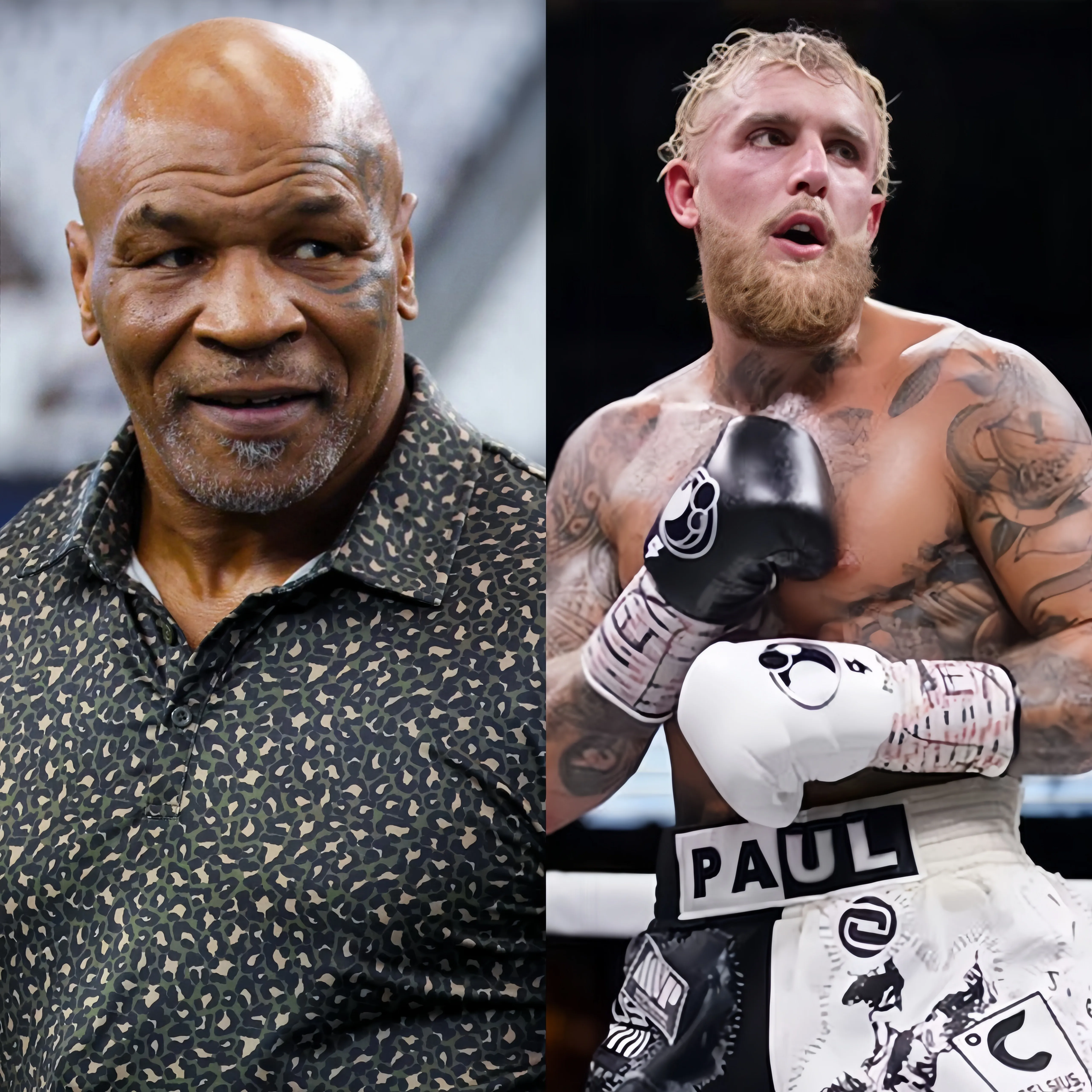 Mike Tyson Exposes The Scary Jake Paul Fight, Secret Exposed!