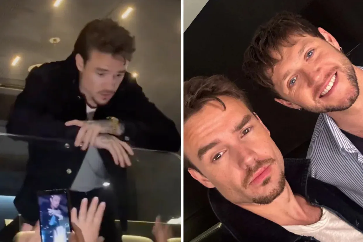 Liam Payne attending Niall Horan's concert in Argentina / Liam Payne and Niall Horan.