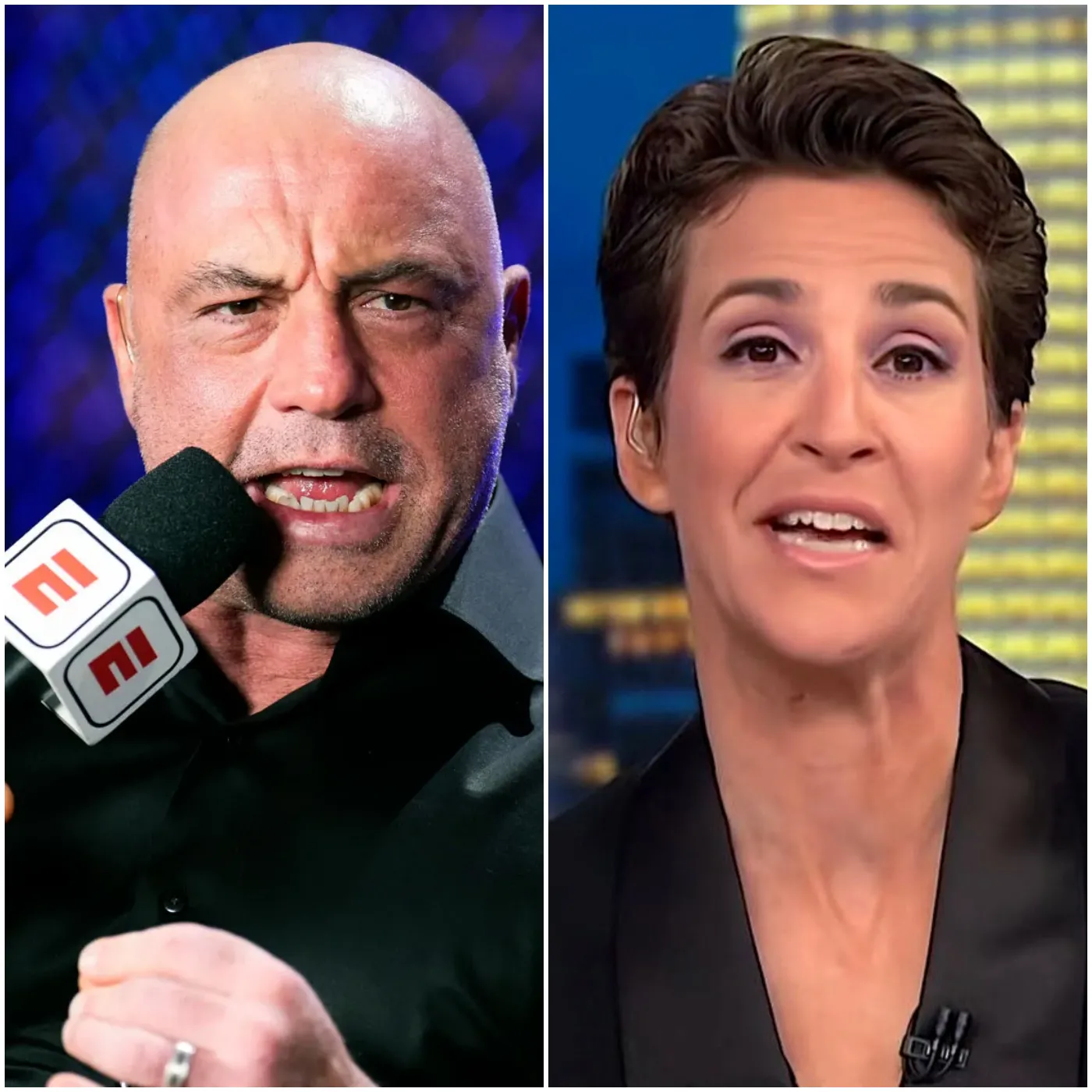 Joe Rogan Sostituirà Rachel Maddow come Conduttore in Prima Serata su MSNBC Dopo l'Acquisizione di Elon Musk