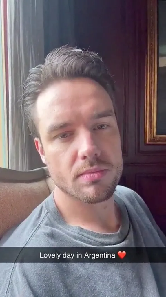 Selfie de Liam Payne