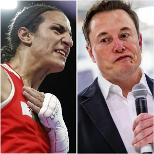 Elon Musk Challenges Wbo: ‘Take Away Imane Khelif’S Medal Or You’Ll See Me Withdraw Support!’…Ts 21 Elon Musk Challenges Wbo: ‘Take Away Imane Khelif’S Medal Or You’Ll See Me Withdraw Support!’…Ts