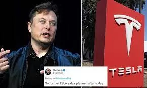 Elon Musk Donates $112 Million in Tesla Stock to Help the Homeless—With Special Conditions – vannguyen 3 Elon Musk Donates $112 Million in Tesla Stock to Help the Homeless—With Special Conditions – vannguyen