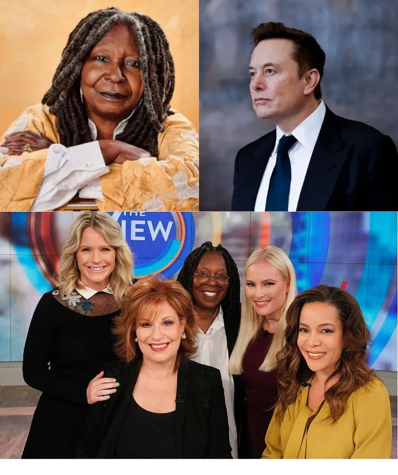 Elon Musk called for a boycott of The View, calling it “a meeting place for ignorant women.” Immediately after, the entire cast responded fiercely 1 Elon Musk called for a boycott of The View, calling it “a meeting place for ignorant women.” Immediately after, the entire cast responded fiercely