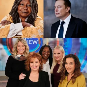 Elon Musk called for a boycott of The View, calling it “a meeting place for ignorant women.” Immediately after, the entire cast responded fiercely 13 Elon Musk called for a boycott of The View, calling it “a meeting place for ignorant women.” Immediately after, the entire cast responded fiercely