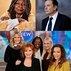 Elon Musk called for a boycott of The View, calling it “a meeting place for ignorant women.” Immediately after, the entire cast responded fiercely 7 Elon Musk called for a boycott of The View, calling it “a meeting place for ignorant women.” Immediately after, the entire cast responded fiercely