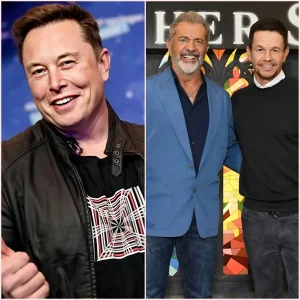 Elon Musk promises $1 billion to the Gibson and Wahlberg studio to oppose Hollywood's "woke agenda." 15 Elon Musk promises $1 billion to the Gibson and Wahlberg studio to oppose Hollywood's "woke agenda."