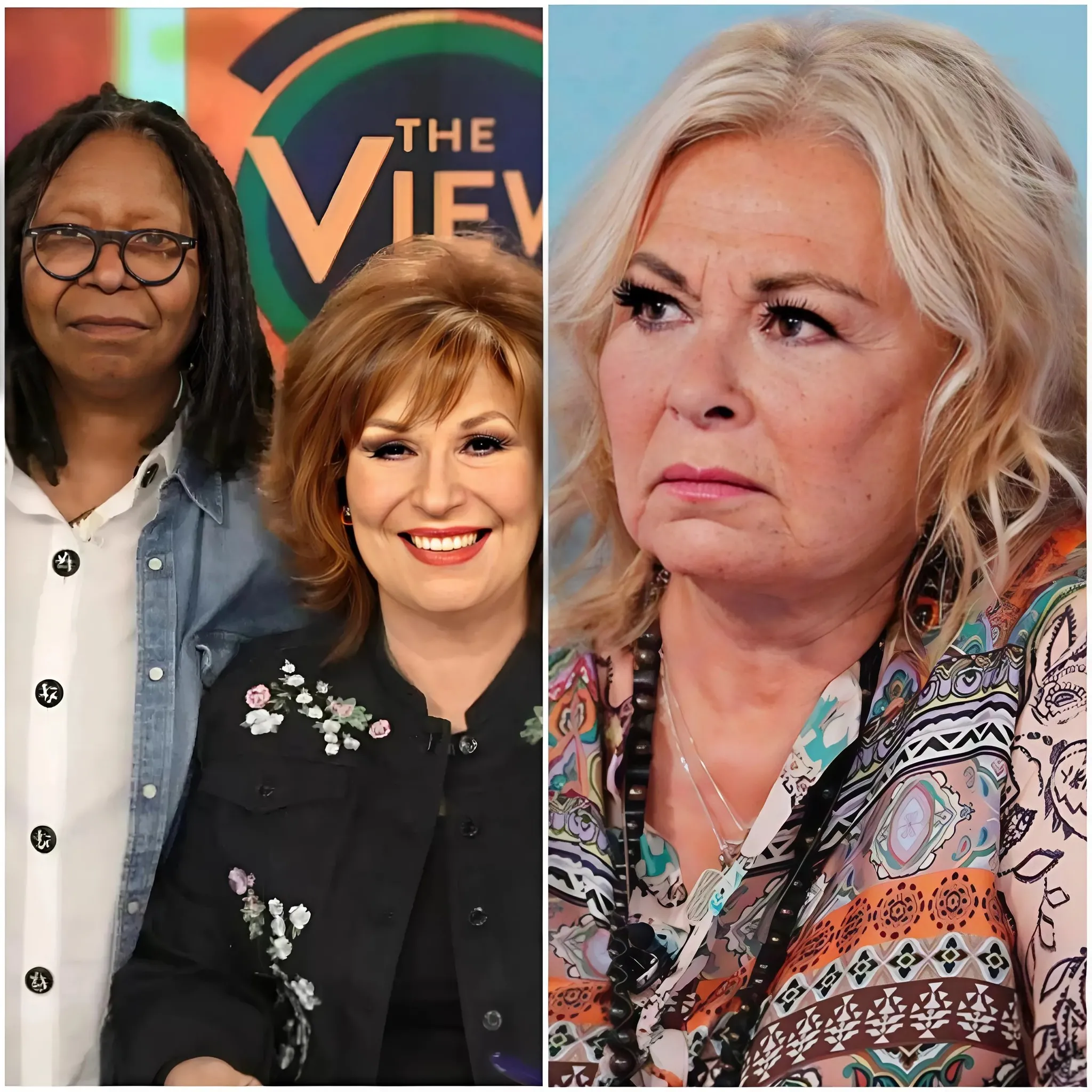BREAKING: Roseanne reshapes economic satire and removes the "toxic hens" from her bold, non-woke show. 1 BREAKING: Roseanne reshapes economic satire and removes the "toxic hens" from her bold, non-woke show.